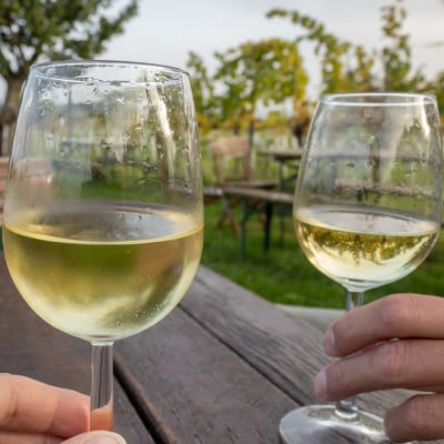 WINE TOURS